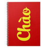 Carnet Chào / Hello ~ Vietnam / Vietnamien / Tiêt Viêt (Devant)