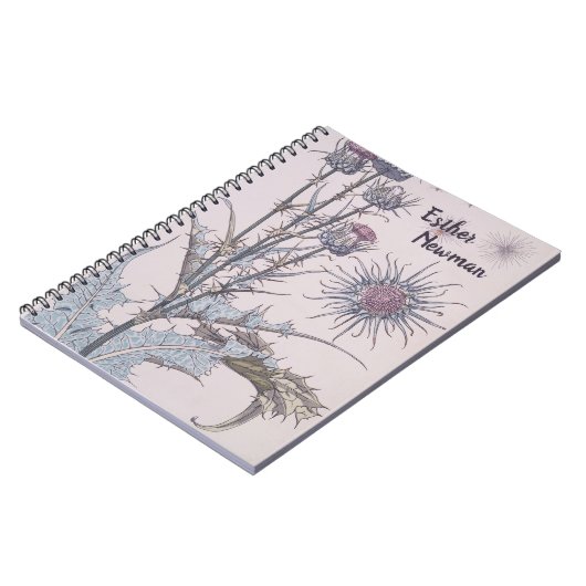 Carnet Chardon bleu (Côté gauche)