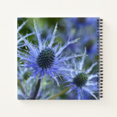 Carnet Chardon de mer bleu Monogramme (Dos)