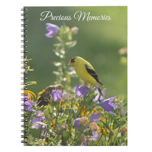 Carnet Chardonneret sur une fleur de campanule (Devant)