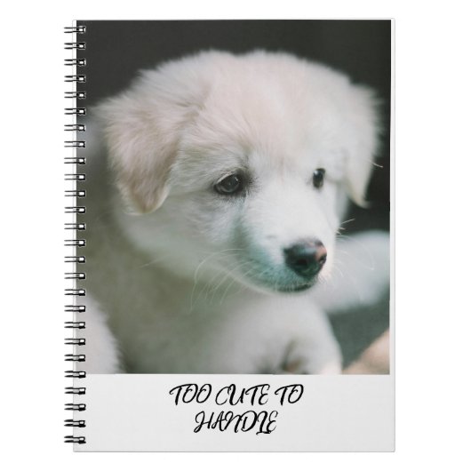 Carnet "Charme de chiot blanc tout doux" (Devant)