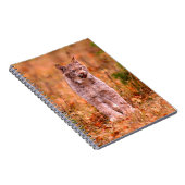 Carnet Chasse Bobcat | Forêt d'automne (Côté Droit)