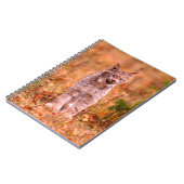 Carnet Chasse Bobcat | Forêt d'automne (Côté gauche)