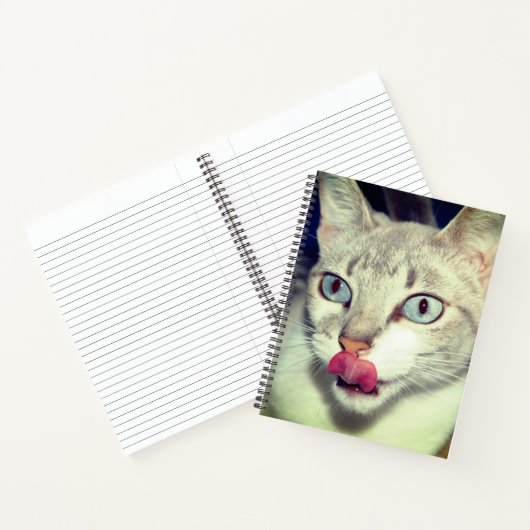 Carnet Chat (Intérieur)