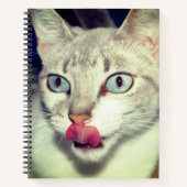 Carnet Chat (Devant)