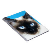 Carnet Chat 1 (Côté Droit)