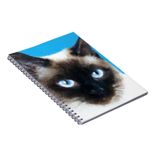 Carnet Chat 1 (Côté Droit)