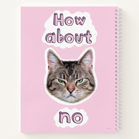 Carnet Chat agacé (Dos)