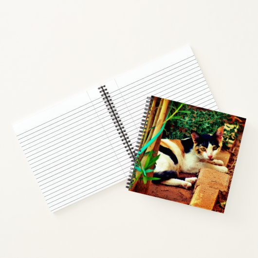 Carnet Chat agréable (Intérieur)