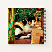 Carnet Chat agréable (Dos)