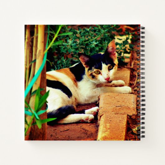 Carnet Chat agréable (Dos)