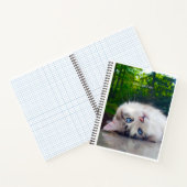 Carnet Chat aux yeux croisés (Intérieur)