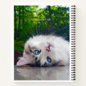 Carnet Chat aux yeux croisés (Dos)