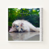 Carnet Chat aux yeux croisés (Dos)