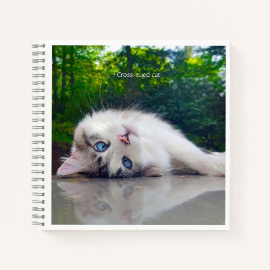 Carnet Chat aux yeux croisés (Devant)