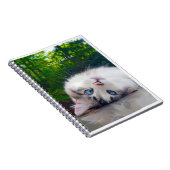 Carnet Chat aux yeux croisés (Côté Droit)