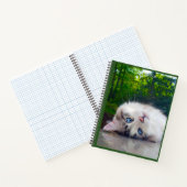 Carnet Chat aux yeux louches (Intérieur)