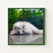 Carnet Chat bigleux (Dos)
