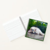 Carnet Chat bigleux (Intérieur)