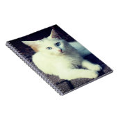 Carnet chat blanc (Côté Droit)