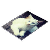 Carnet chat blanc (Côté gauche)