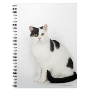 Carnet Chat blanc avec les taches noires