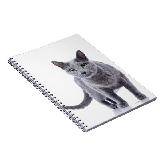 Carnet Chat bleu russe (Côté Droit)
