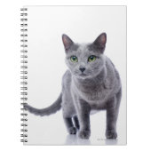 Carnet Chat bleu russe (Devant)