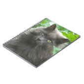 Carnet Chat bleu russe gris-long (Côté gauche)