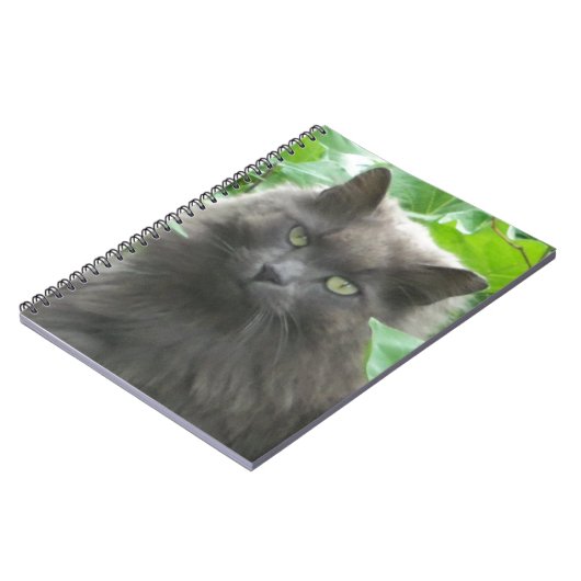 Carnet Chat bleu russe gris-long (Côté gauche)