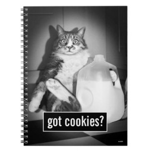 Carnet Chat Boire Du Lait De Jug