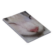 Carnet Chat couché (Côté Droit)