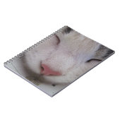 Carnet Chat couché (Côté gauche)