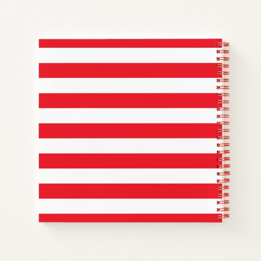 Carnet Chat dans l'affaire Chose Un & Chose Deux (Dos)