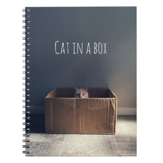 Carnet Chat dans une boîte. Le maître du chat Zen. (Devant)
