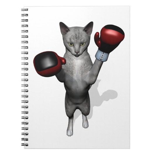 Carnet Chat de boîte (Devant)