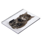 CARNET CHAT DE LA CUISINE (Côté gauche)