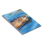 Carnet Chat de muscat dans les fermes de Vassar Réserve é (Côté Droit)