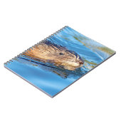 Carnet Chat de muscat dans les fermes de Vassar Réserve é (Côté gauche)