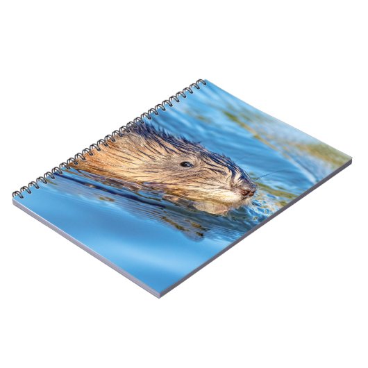 Carnet Chat de muscat dans les fermes de Vassar Réserve é (Côté gauche)