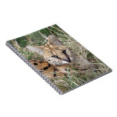 Carnet Chat de Serval détendant dans l'herbe (Côté Droit)