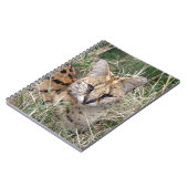 Carnet Chat de Serval détendant dans l'herbe (Côté gauche)