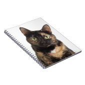 Carnet Chat d'écaille (Côté Droit)