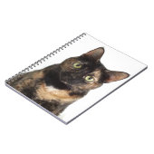 Carnet Chat d'écaille (Côté gauche)