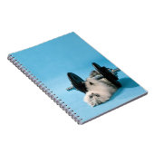 Carnet Chat d'entraînement (Côté Droit)