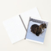 Carnet chat des forêts norvégiennes dans la neige (Intérieur)