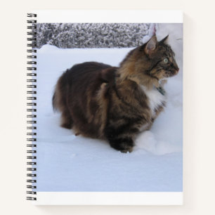 Carnet chat des forêts norvégiennes dans la neige