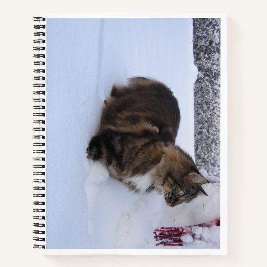 Carnet chat des forêts norvégiennes dans la neige (Devant)