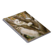 Carnet Chat Fluffy aux Yeux Bleus dans un Arbre (Côté Droit)