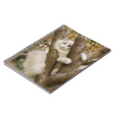 Carnet Chat Fluffy aux Yeux Bleus dans un Arbre (Côté gauche)